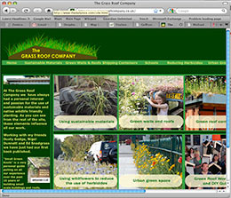 grass roof company website