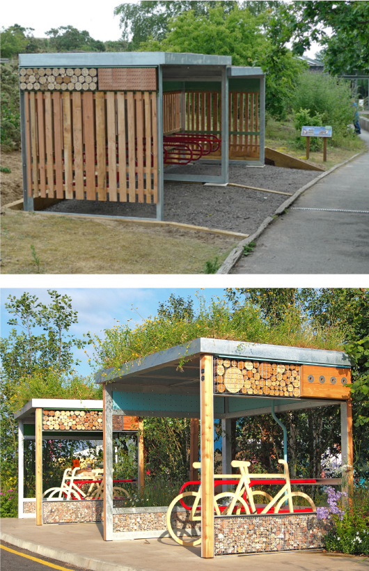 Green Roof on Cycle Shelter